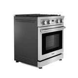 ARG30 - 30 Inch Contemporary Professional Gas Range in Stainless Steel